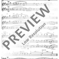 Flute Fun - Performing Score