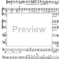 Concertino giocoso Op. 12 - Cello