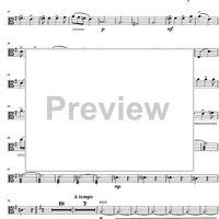 Argentinian Rhapsody - Viola