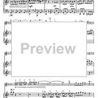 Concerto in F Major for Flute, Strings and Cembalo - Piano Score