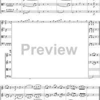 Eine kleine Nachtmusik - Score