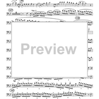 The Yellow Rose of Texas Variations - Euphonium BC/TC