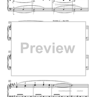 Where The Mustangs Run