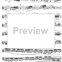 Preliminary studies to 'The Accomplished Clarinettist' Vol. 3 - Clarinet