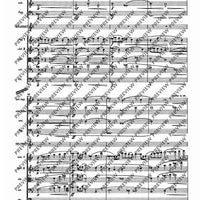 Il Vitalino raddoppiato - Full Score