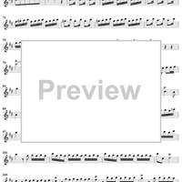 Flute Concerto in D Major ("Il Gardellino"), op. 10, no. 3 - Flute