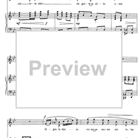 Fiesta de la Candelaria