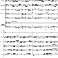 Brandenburg Concerto No. 5: Allegro - Score