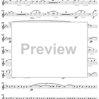 Quintet in C Minor - Flute