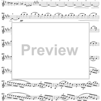 Violin Concerto in E Minor - Violin