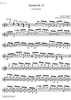 Sonata No.13