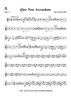 Quo Non Ascendam - Horn 3