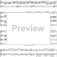 Eine kleine Nachtmusik - Score