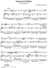 Sonata in D Major - Piano