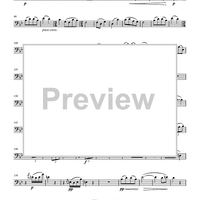 Andante Cantabile from String Quartet No. 1 in D Major, Op. 11