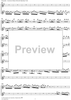 Concerto in E Minor Op. 37 no. 6 - Flute/Violin