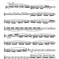 The Flight of the Bumblebee from the opera "Tsar Sultan" - Flute