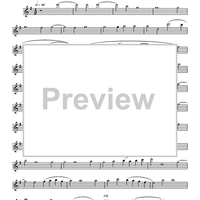 Renaissance Suite - Flute