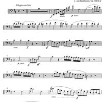 Sonata No. 5 D Major Op.102 No. 2 - Cello