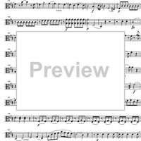 Divertimento No.17 D Major KV334 - Viola