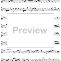 Violin Concerto No. 5 - Solo Violin