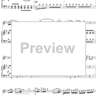 Flute Concerto in G Major, Allegro - Piano