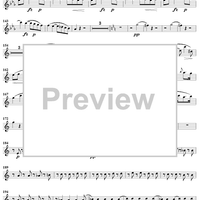 Quintet in C Minor - Flute