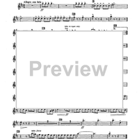 The Dancing Sergeant - Cornet 1