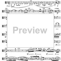 Sonata d minor - Viola