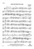 Der Heyser Bulgar - Violin 1