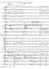 "Tiger! Wetze nur die Klauen", No. 13 from "Zaide", Act 2, K336b (K344) - Full Score