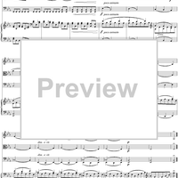 Piano Quartet no. 1 in G minor, op. 25: Movement 3