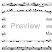 Concerto No. 4 D Major KV218 - Violin