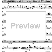 Britta Polka - Flute