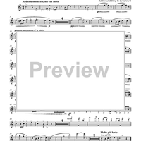 Intermezzo from L’Arlésienne Suite No. 2