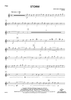 Storm - Flute