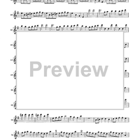 Double Concerto for Recorder and Flute in E minor - Flauto Traverso (Flute)