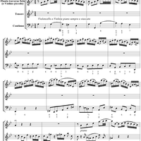 Erschrekke doch - No. 5 from Cantata No. 102 - BWV102