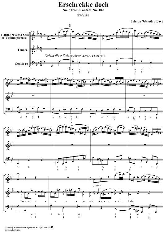 Erschrekke doch - No. 5 from Cantata No. 102 - BWV102