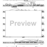 Polka Fantastic - Solo Euphonium BC/TC