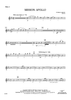 Mission: Apollo - Flute 2