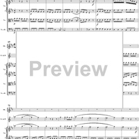 Horn Concerto No. 1 in D Major, K386b (K412 & K514)