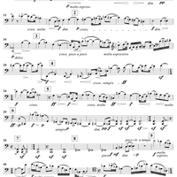 String Quartet No. 1, Op. 7 - Cello