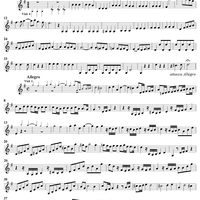 Concerto in G Major - Violin 2