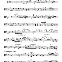 Danza Latina - Advanced Solo Viola (Grade 4)