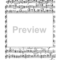 Mandolin & Guitar Collection No. 22 - Banjo Solo