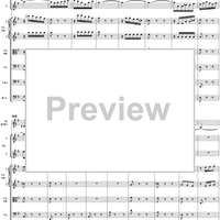Brandenburg Concerto No. 4: Allegro - Score