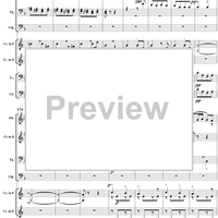 Serenade in D Minor, Op. 44, Movement 4 - Score