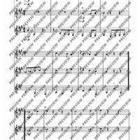 Zwölf Cassationsstücke - Performing Score