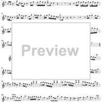 Flute Concerto in G Major, Op. 10, No. 4 - Flute